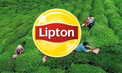 Lipton, Türkiye’de 39 Yıllık Çay Üretim Serüvenini Sonlandırdı! Rize’deki Tesisler Öz-Gür Çay’a Devredildi