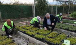 Edremit Belediyesi'nde kendin üret kendin dik çalışmaları