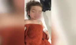 Etimesgut'ta Feci Köpek Saldırısı! Pitbull Cinsi Köpeğin Sahibi Gözaltına Alındı!