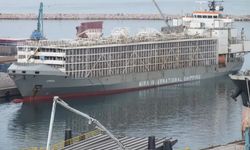 Yüzen ahır limana yanaştı! 500 bin canlı hayvan, 100 gemi daha...