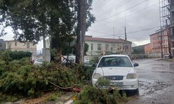 Dursunbey’de Fırtına Sonrası Alarm: Belediye Ekipleri Sahada