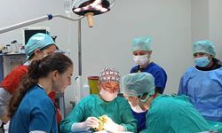 BAÜN Veteriner Fakültesi Hayvan Hastanesinden 2025’te Rekor Hizmet: 3 Bine Yakın Hayvan Tedavi Edildi