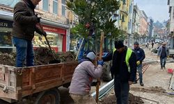 Bigadiç’te Hitay Caddesi Yeşil Dokuya Kavuşuyor