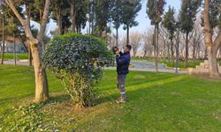 Gönen’de Park ve Bahçelerde Günlük Çalışmalar Sürüyor