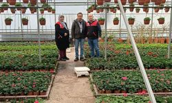 Burhaniye’de Seralara Sıkı Denetim: Bitki Pasaportu Kontrolleri Sürüyor