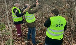 Balıkesir’de Kestane Ormanları İçin Gal Arısına Karşı 157 Bin Gal Toplandı