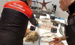 Edremit’te Su Ürünleri Denetimleri Devam Ediyor