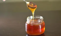 Şaka Değil Gerçek! Bir Kilosu 11 Bin Euro: Dünyanın En Pahalı Balı Türkiye'de Üretildi! Guinness Rekorlar Kitabına Girdi