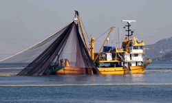 Balıkçılar Bu Tarihi Kaçırmayın! 2026 Destek Başvuruları Açıldı