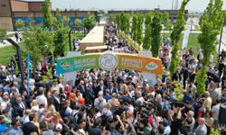 Balıkesir'in gerçeği... Bereketli topraklar, kısır vizyon!