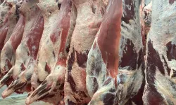 Bu kez aynı soru Sekan Sarı'dan geldi: Balıkesir'de neden ESK yok?