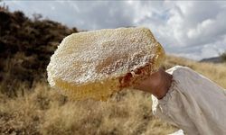 Türkiye’den Global Başarı: Ilgaz Dağı'nın Şifa Kaynağı Artık Guinness’te! 1 Kilo Balın Fiyatı Görenleri Şaşırtıyor!