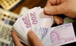 Günde 1.375 TL Cep Harçlığı! İŞKUR Yeni Staj ve Maaş Desteği Başvuruları Başladı mı?