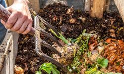 Çöpe değil toprağa... Ev atıklarından besleyici kompostun gücü