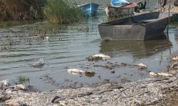 Güney Marmara’nın Bitmeyen Felaketi: Gönen Çayı’nda Zehir Akıyor