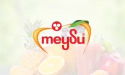 MEYSU Halka Arz Detayları: Hangi Bankalardan Katılım Yapılabilir? Kaç Lot Düşer?