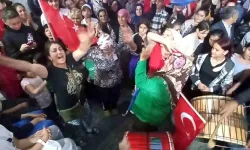 Roman vatandaşlar için strateji belgesi ve yeni eylem planı