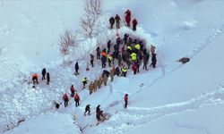 Artvin'de Çığ Faciası: Arama Çalışmalarına Zorunlu Ara Verildi!