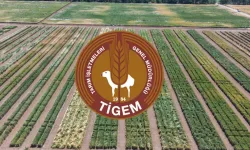 TİGEM 254 İşçi Alımı Kura Sonuçları ve İsim Listesi Açıklandı! İşte 2026 Mülakat Tarihleri ve Kazananların Tam Listesi!