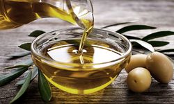 Ayvalık Zeytinyağında “Yok Yılı” Alarmı: Çözüm Markalaşma ve Karekod