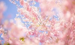 İkinci Cemre Ne Zaman ve Neden Düşer? İşte Detaylar