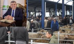 Aylar süren bekleyiş sona erdi... Gönen Hayvan Pazarı açılıyor