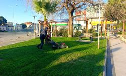 Edremit’te Yeşil Alan Seferberliği: Park ve Sokaklarda Bakım Çalışmaları Sürüyor