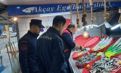 Edremit’te Perakende Balık Satış Noktalarına Su Ürünleri Denetimi