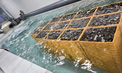 Balıkesir'de su ürünleri alanında uluslararası işbirliği