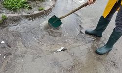 Edremit’te Yağış Mesaisi: Belediye Ekipleri Dere Ağızları ve Mazgallarda Teyakkuzda