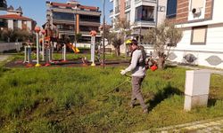 Edremit’te Park ve Yeşil Alanlarda Bakım Çalışmaları Sürüyor