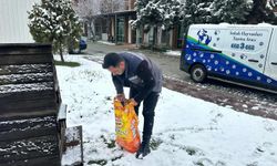 Dursunbey Belediyesi Kışta Can Dostlarını Unutmadı: Mama Dağıtımı Başladı