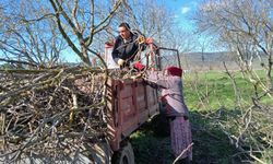 Bigadiç Millet Bahçesi Yaza Hazırlanıyor: Belediye Ekiplerinden Kapsamlı Bakım Seferberliği!