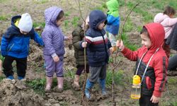 Minik Eller Balıkesir Üniversitesi kampüsünü yeşile boyadı