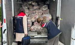 Tekirdağ’da Skandal Gıda Sevkiyatı: 3,5 Ton Bozuk Sakatat İmha Edildi