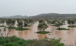 Osmaniye’de Sel Felaketi! Köy Yolları Kapandı, Evleri ve Tarım Arazilerini Su Bastı!