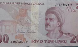 Odunun Eğrisi Giremezdi, Banknotun Çelişkisi Girdi!