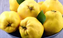 Ayvayı yemek de artık lüks! Kilosu 200 lira...