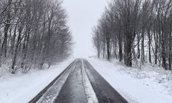 Çanakkale'de Kar Sürprizi! Lapseki ve Kazdağları Beyaza Büründü