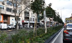 Balıkesir Büyükşehir’den 20 İlçede Peyzaj ve Çevre Düzenleme Çalışması