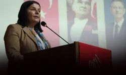 Foça Belediye Başkanı Fıçı’dan Sokak Hayvanları İsyanı! "Bize Baskı Yapıyorlar, Doğa İntikam Alacak!"