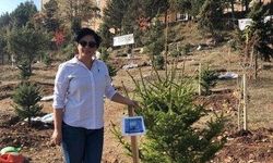 Evlat Acısı 10 Gün Sürdü: Anne Mezarlıkta Kalp Krizi Geçirdi