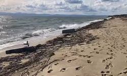 Lodos fena vurdu! Sarımsaklı sahili çöp sahile döndü