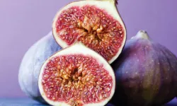 Balıkesir’de İncir Seferberliği Başladı! Havranlı Üreticiye Büyük Destek: Başvurular İçin Son Gün 1 Mart!