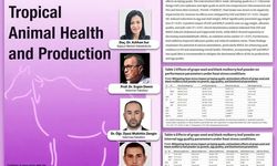 BAÜN’den Bilimsel Atılım: Bıldırcınlarda Sıcaklık Stresine Üzüm Çekirdeği ve Kara Dut Çözümü