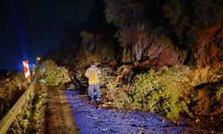 Son Dakika! Bursa'da Korkutan Heyelan! Mudanya-Altıntaş Yolu Kapandı!