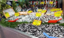 İstanbul'da Balık Tezgahlarında Taht Değişti! Hamsi Devrildi, İstavrit Zirveye Yerleşti: Balık Hali'ndeki Yeni Fiyatlar!