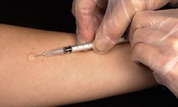 İstanbul'da Korkutan Kuduz Bilançosu: 2025 Yılında 123 Binden Fazla Kişi Hastaneye Koştu!