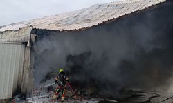 SON DAKİKA: Bandırma'da Çiftlik Yangını Paniği! Külefli Mahallesi Alevlere Teslim Oldu!