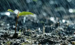 Balıkesir Kuraklık Listesinden Çıktı, Yağış Rekoru Geldi! Türkiye Genelinde Azalırken Bizde %40 Arttı